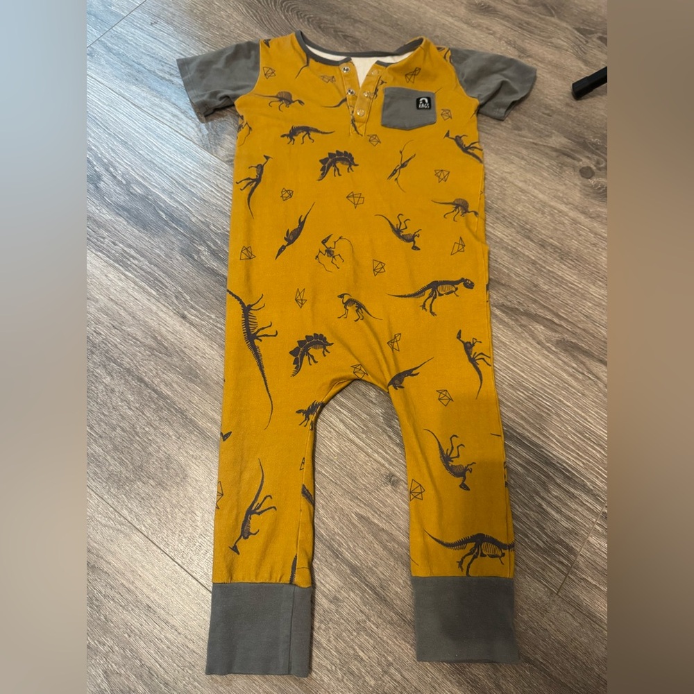 Rags to Raches dinosaur outfit